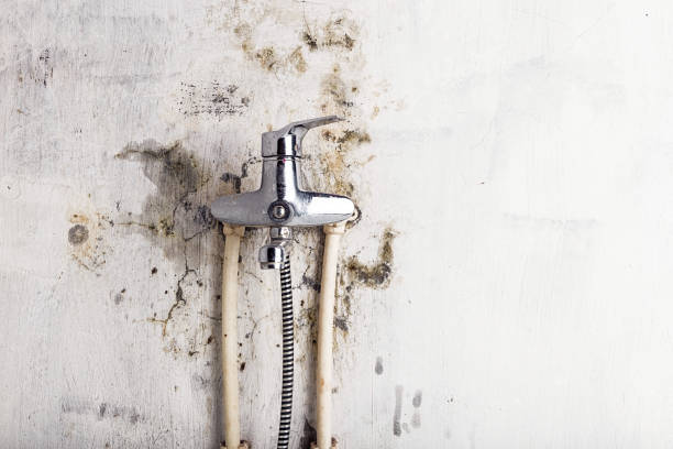 Best Commercial Mold Removal  in Fort Pierre, SD