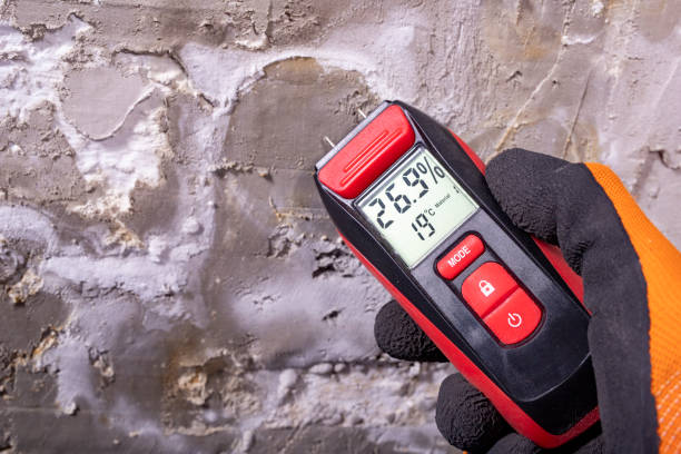 Best Mold Testing  in Fort Pierre, SD