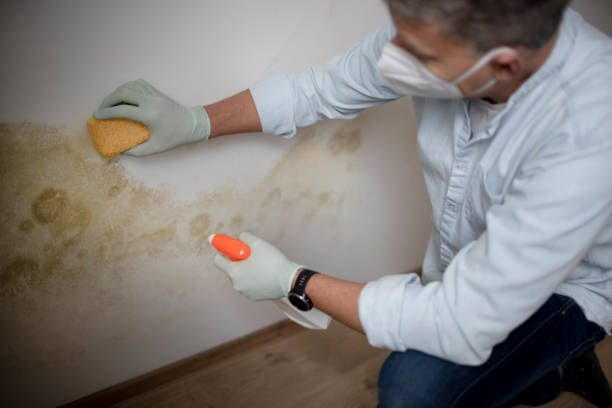 Best Commercial Mold Removal  in Fort Pierre, SD