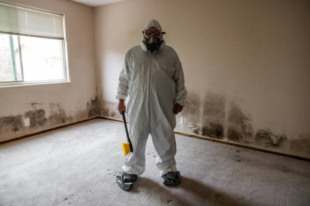 Best Local Mold Removal Service  in Fort Pierre, SD